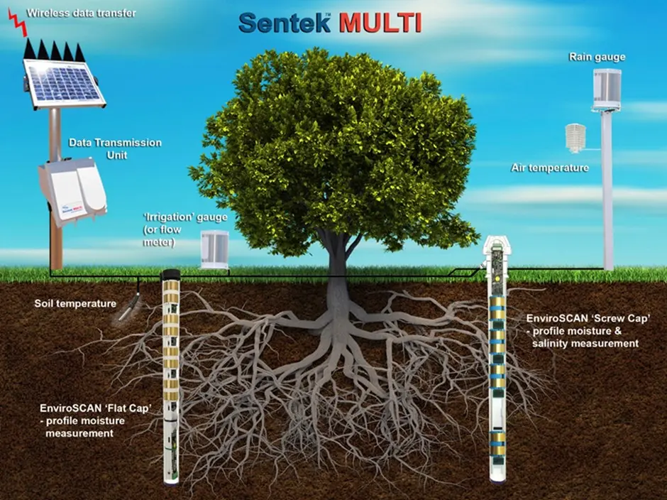 Soil-Sensors-Sentek