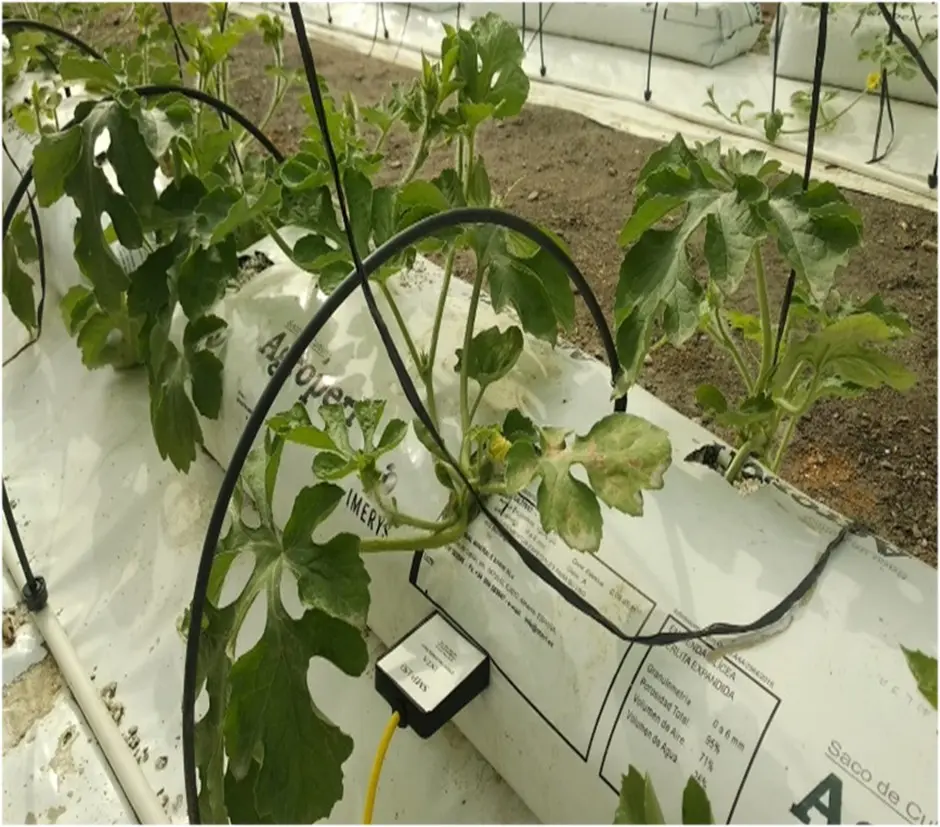 Substrate-Moisture-Sensors-TDR